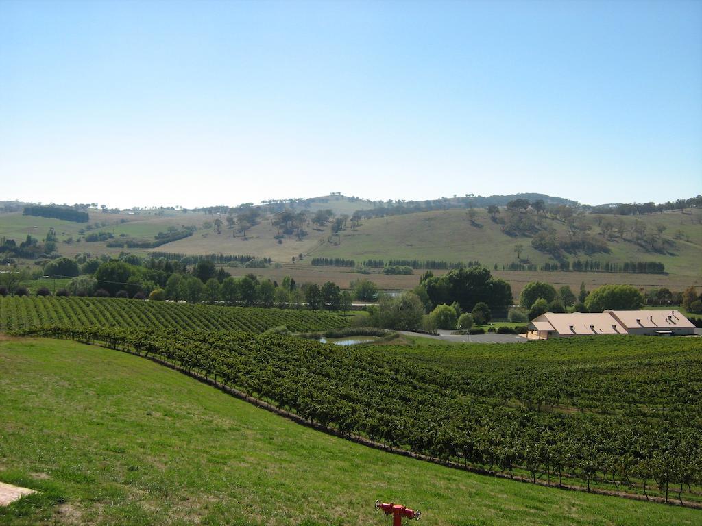 Turners Vineyard Motel Orange Quarto foto