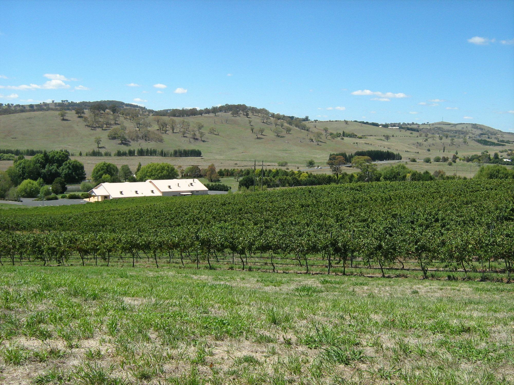 Turners Vineyard Motel Orange Exterior foto