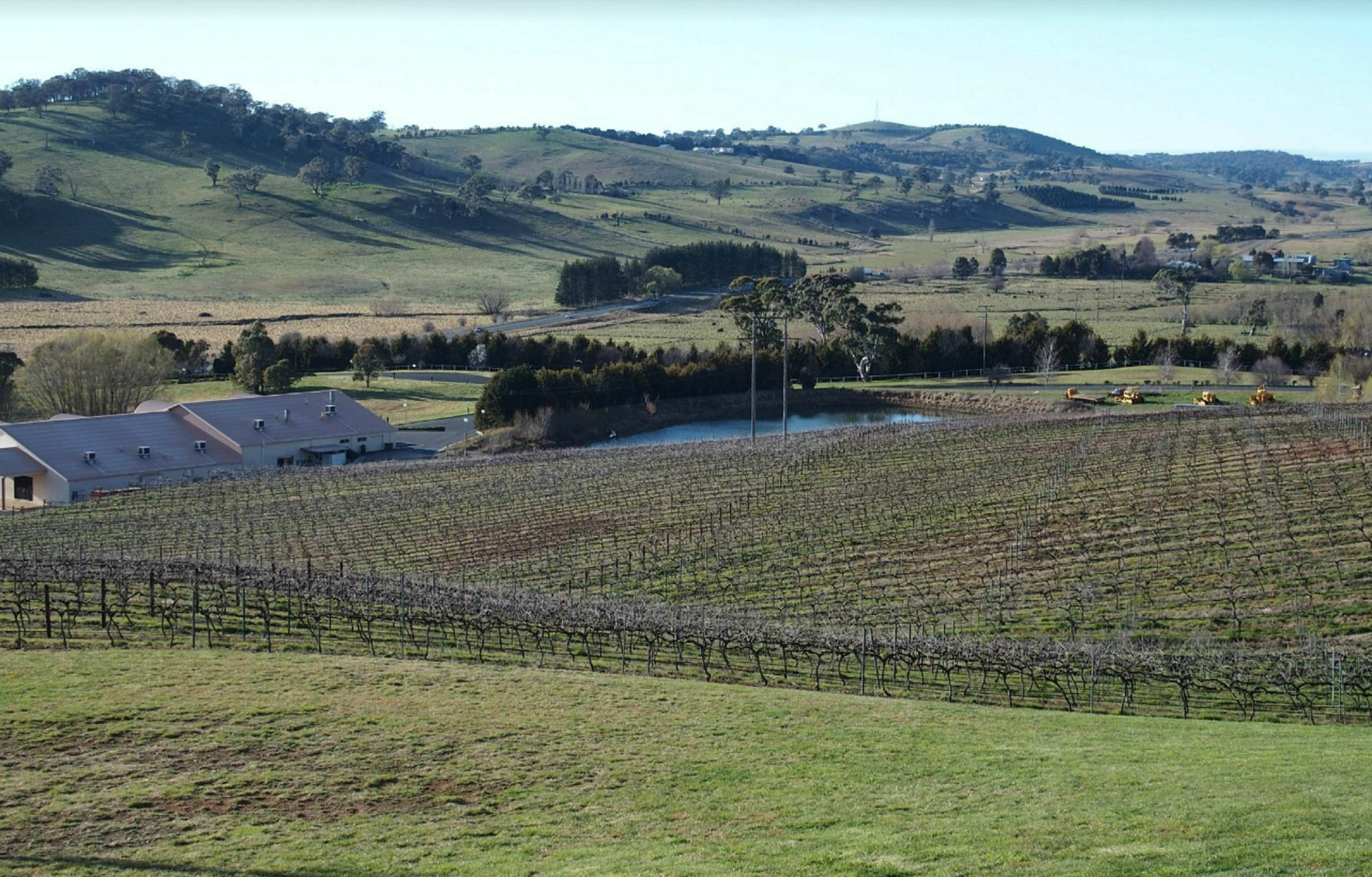 Turners Vineyard Motel Orange Exterior foto